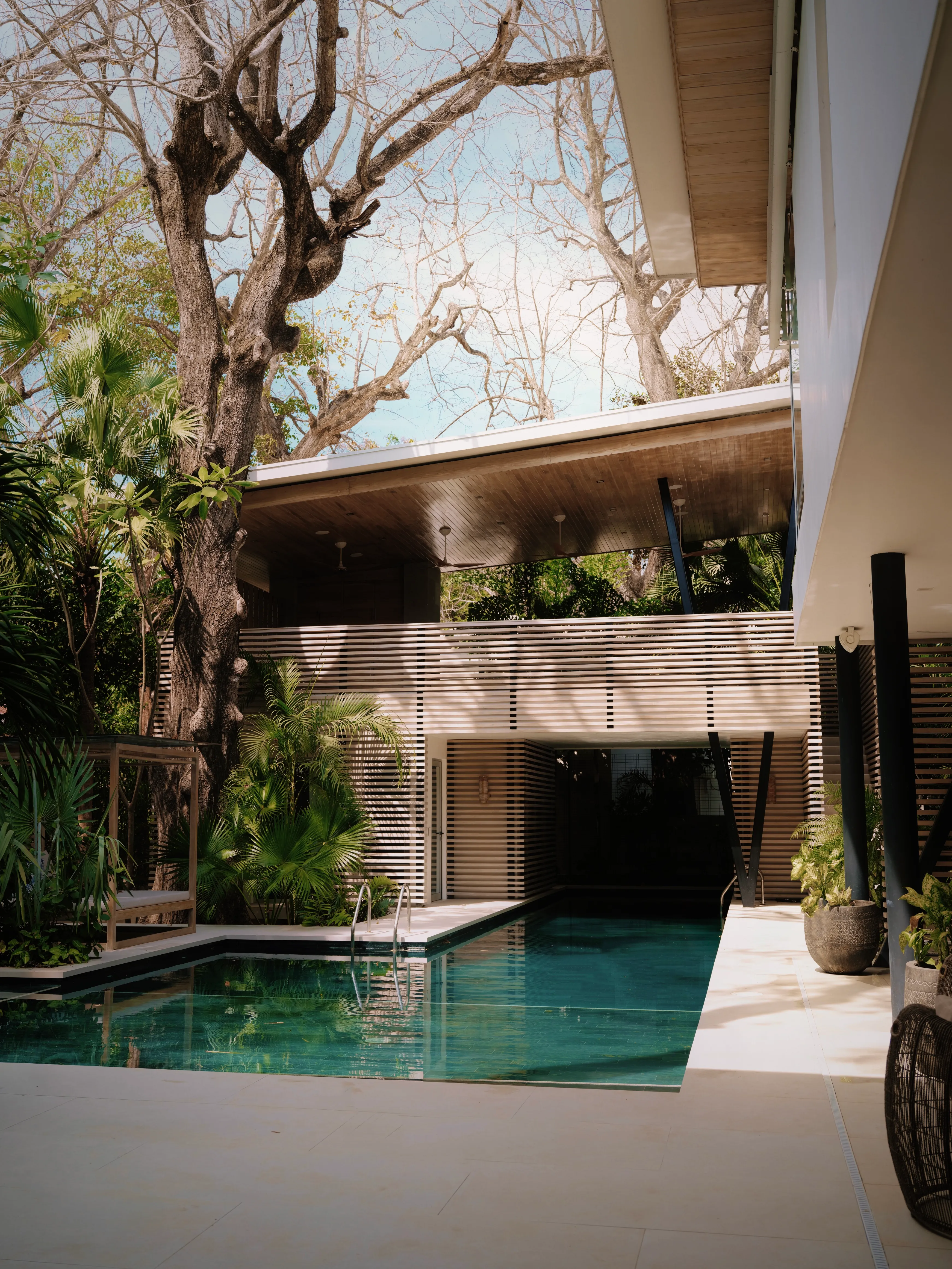 Tres Hermanas villa pool courtyard with mature tree and wood-slat screen, North Playa Guiones, Nosara, Costa Rica