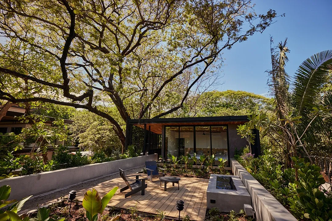 Calma House villa exterior with surrounding mature trees, Nosara