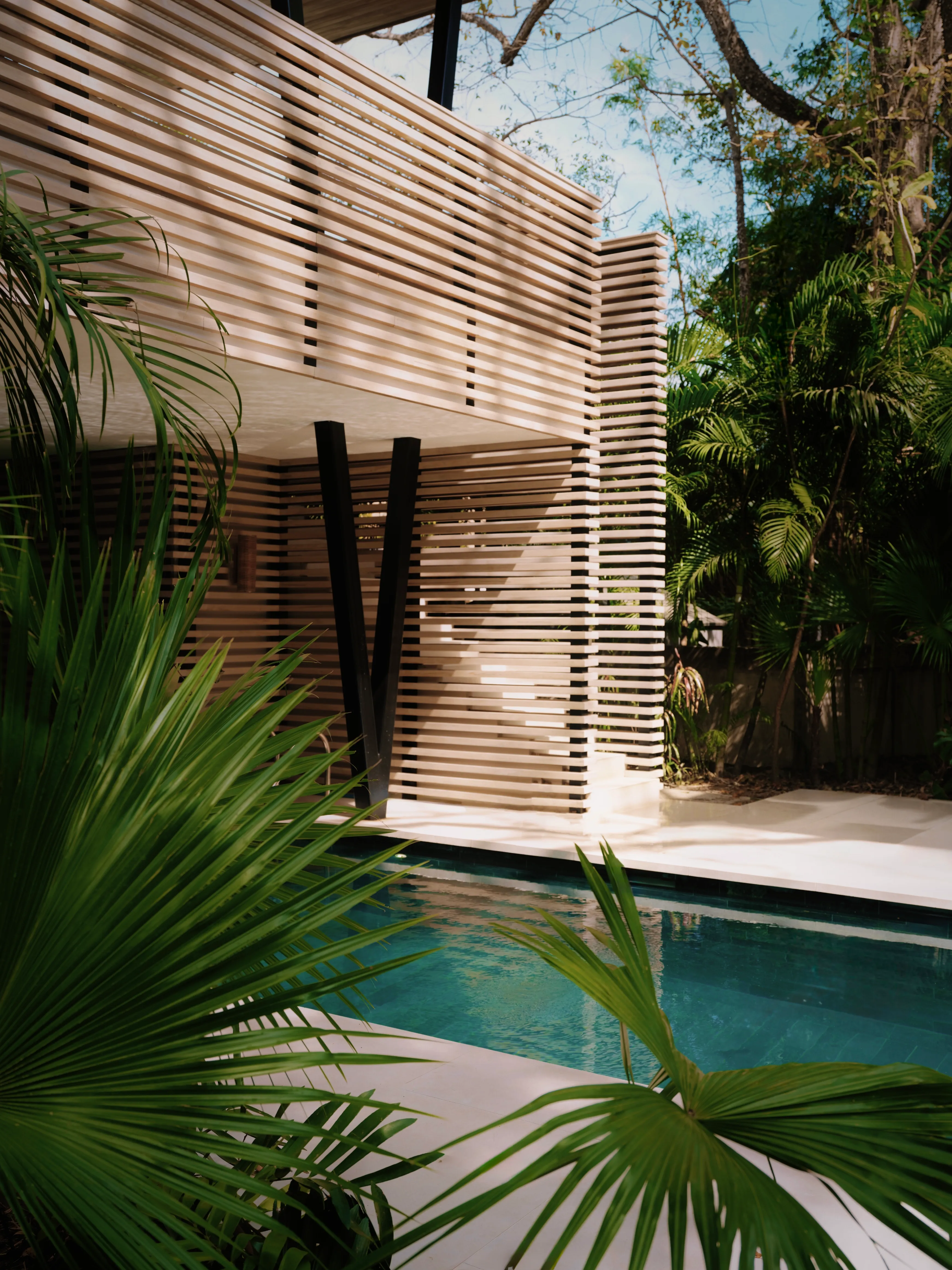 Tres Hermanas villa pool area with bamboo screens and palm tree, Playa Guiones Nosara